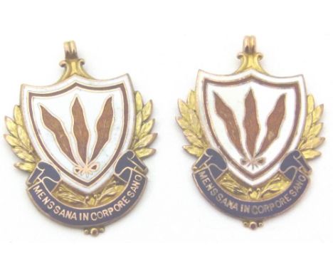 9 CT & ENAMEL MEDALS. Two 9 ct gold and enamel medals, 15,0g