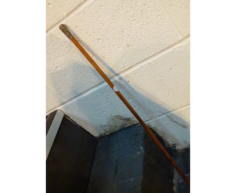 REPTON SWAGGER STICK. Repton combined Cadet Forces swagger stick