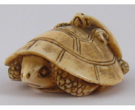 A Japanese ivory netsuke of one tortoise climbing on the back of another, signed underneath. length 4.5cm. Circa 1910.