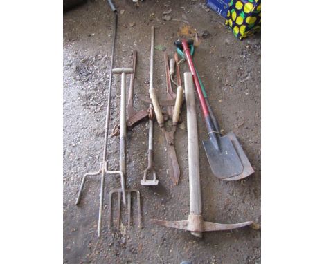 Various garden tools