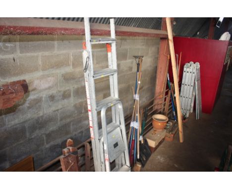 Two aluminium step ladders 