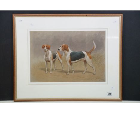 Harrington Bird (1846-1936) - An original watercolour painting depicting two American Foxhound hunting dogs. Framed and glaze