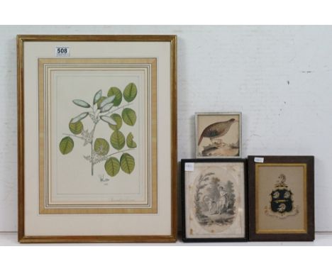 Botanical print, Pterocarpus Furvus, 37 x 25cm, a 19th century English titled family crest and motto, 17 x 12cm, an engraving