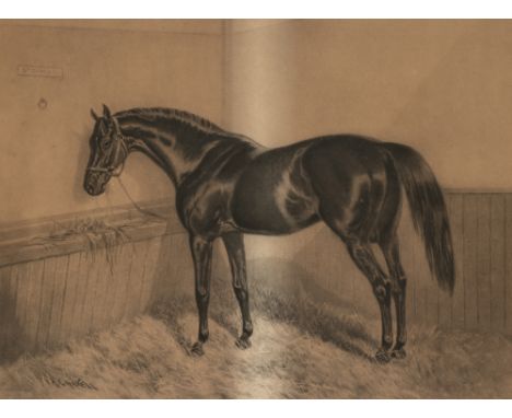 After Alfred Charles Havell (British, 1855-1928) portrait of  'St Simon' in his stable,engraving, signed by A.C. Havel in pen