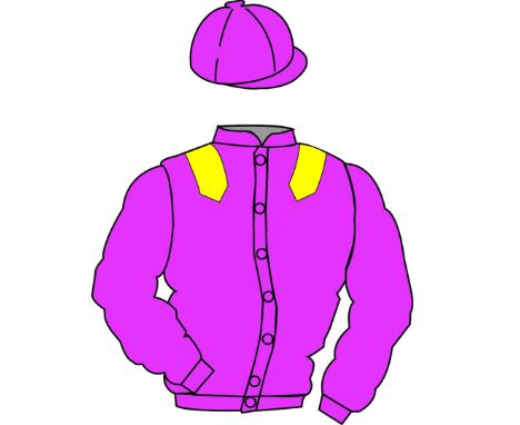 The British Horseracing Authority Sale of Racing Colours: CERISE, YELLOW epauletsThe British Horseracing Authority Sale of Ra
