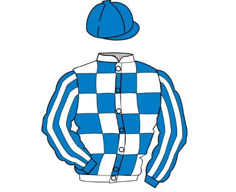 The British Horseracing Authority Sale of Racing Colours: ROYAL BLUE and WHITE check, striped sleeves, ROYAL BLUE cap
Identic