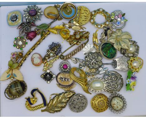 Brooches and scarf clips
