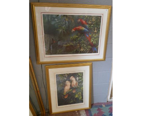 2 signed parrot prints 