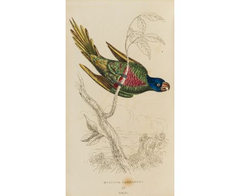 BIrds.- Lauder (Sir Thomas Dick) The Miscellany of Natural History. Volume 1. Parrots, engraved portrait frontispiece, additi