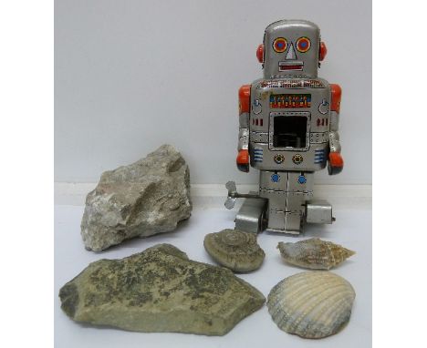 A clockwork Japanese tin plate robot, a/f, fossil specimens and shells