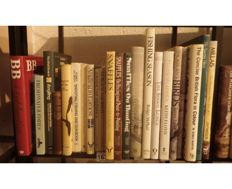 Shelf of fishing and countryside books 