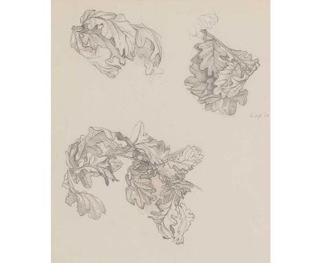▴ John Aldridge RA (1905-1983)Leaf studiesdated '16 Sept 60' c.r., pencil25.5 x 21.5cmProvenance: A Fry Art Gallery label to 