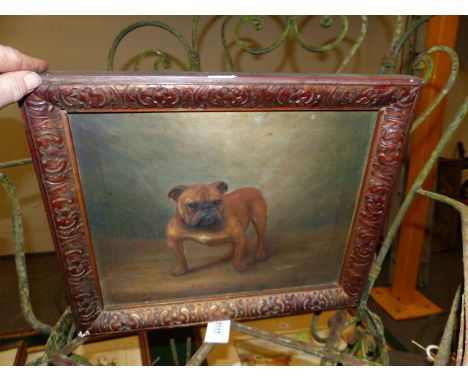 HENRY CROWTHER (FL1905-1939)   PORTRAIT OF A BULLDOG RED STAR, SIGNED AND DATED 1917, OIL ON CANVAS.   29.5 x 37cms.  TOGETHE