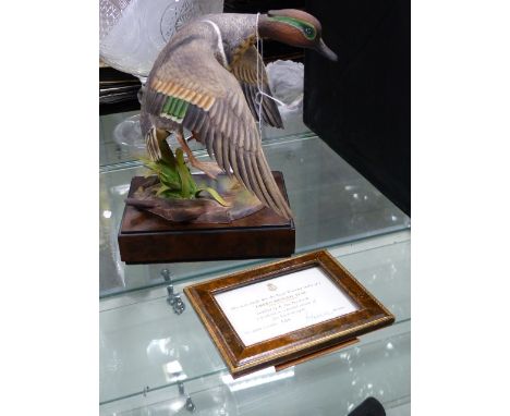 A ROYAL WORCESTER MOEL OF A GREEN-WINGED TEAL MODELLED BY R VAN RUYCHEVELS. LIMITED EDITION 105/500.