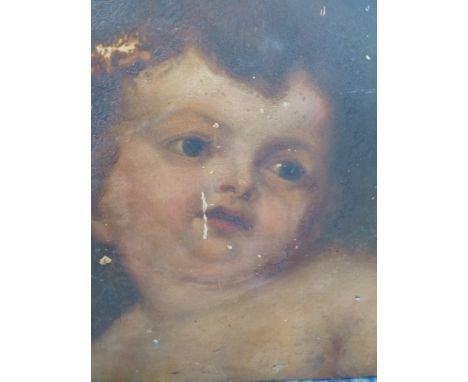 An Old Master portrait of a child. Oil on panel