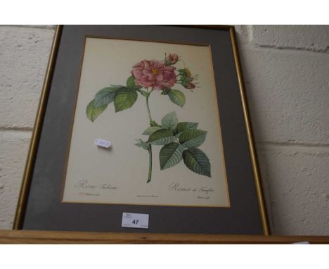 Coloured print of roses