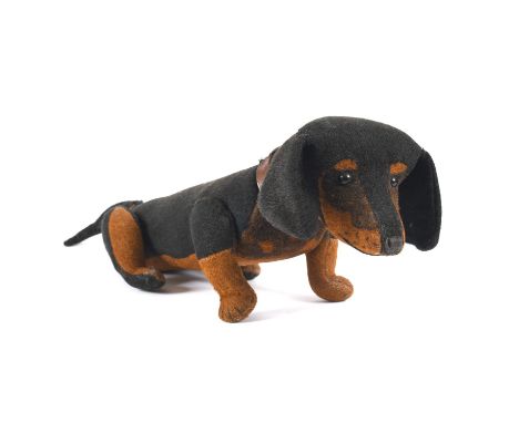 Circa 1905-1910, an early Steiff black and brown Dachshund, with black eyes, stitched nose and swivel head and legs. With a l