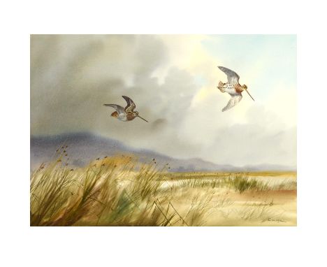 A pair, both signed, watercolour and pencil Each 53 x 73.5cm. (2).  *CR:  Good condition.  *BP 22.5% (18.75% plus VAT) plus a