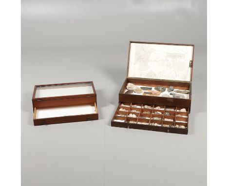 A mahogany box with drawer, containing various fossils and mineral specimens. Some with labels including examples from New Ze