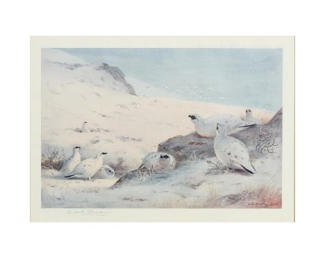 To comprise Grouse on a Moor, 1926/7, 31.5 x 45.5cm.; Partridge family, 1926/7, 31.5 x 45.5cm.; Pheasant in a wood, 1925, 31 