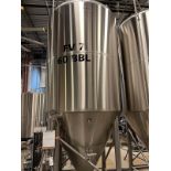 DME 60 BBL Fermentation Tank - Cone Bottom, Glycol Jacketed, Mandoor, Zwickel Valve, | Rig Fee $2100
