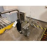 Leeson Washguard SST Transfer Pump on Cart | Rig Fee $100