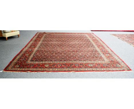 Mashad Carpet North East Iran, circa 1920 The raspberry floral lattice field enclosed by borders of flowering meandering vine