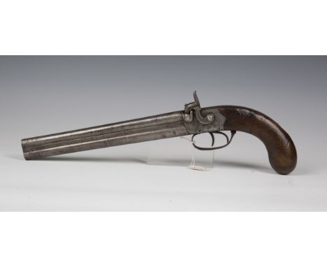 An unusual 19th century side-hammer double-barrelled holster pistol, barrel length 26cm, with foliate engraved locks and trig