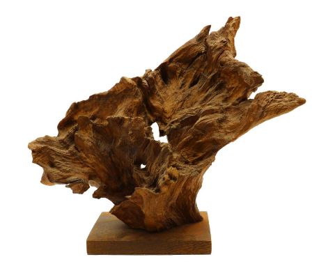 An oak wood specimen,Quereus species, with a signed letter from Dr D F Cutler (Head of the Plant Anatomy Section at Kew Garde