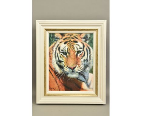 TONY FORREST (BRITISH 1961) 'WILD THING', a portrait of a tiger signed limited edition print 31/195, with certificate, approx