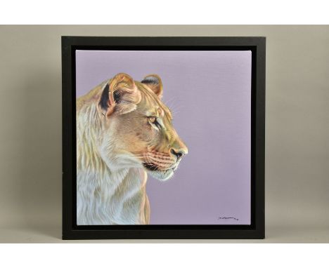 DARRYN EGGLETON (SOUTH AFRICA 1981) 'QUEEN OF THE SAVANNAH' a portrait of a lioness, signed limited edition print 73/195, wit