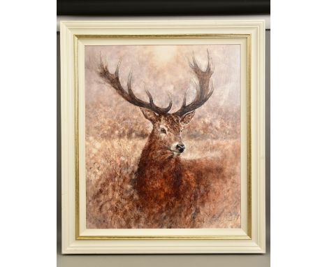 GARY BENFIELD (BRITISH 1965) 'NOBLE' a portrait of a Stag, signed limited edition print 77/195, with certificate, approximate