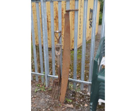 A LARGE VINTAGE CROSS CUT DOUBLE HANDLED SAW 165cm long and three hay forks (all show signs of rust)