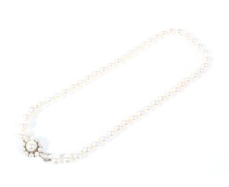 A vintage cultured-pearl single row necklace. The 50 cultured-pearls approx. 8.2-8.6mm diameter, strung on a 9ct gold and cul