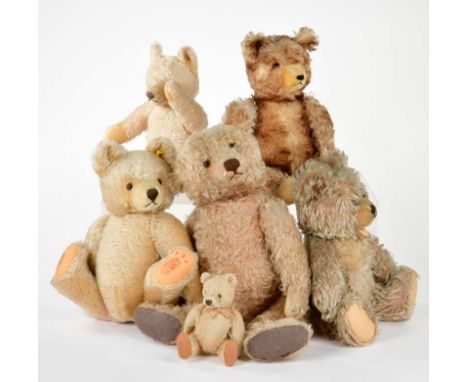 Steiff, 6 Teddybären, 18-45 cm, teilw. abgeliebt, sonst guter Zustand