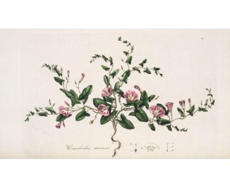 Botany.- Curtis&nbsp;(William)&nbsp;Flora Londinensis; or, plates and descriptions of such plants as grow wild in the environ