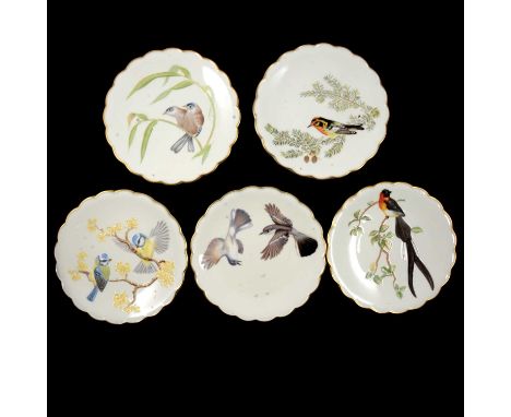 Five Royal Worcester dessert plates, 'The Birds of Dorothy Doughty' series, 1974-1978 inclusive, each 23.5cm.Qty: 5