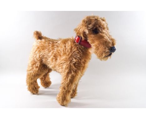 A Chiltern Hygienic toy Terrier dog, standing 34cm high