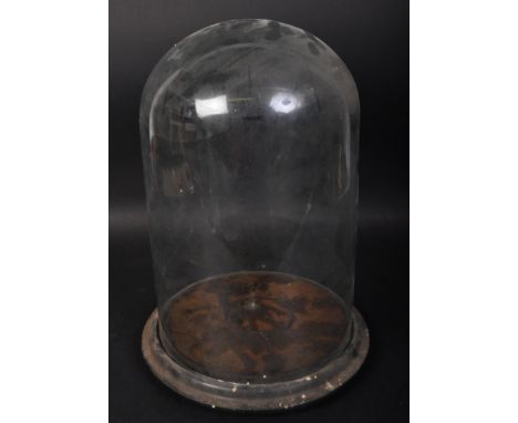 A 19th Century Victorian display glass dome case. For a clock / taxidermy on ebonised base with turned feet and a velvet inte