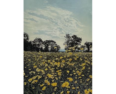 Graham Evernden (British 1947-): 'Marsh Marigolds', limited edition screen print signed titled and numbered 14/250, 39cm x 29