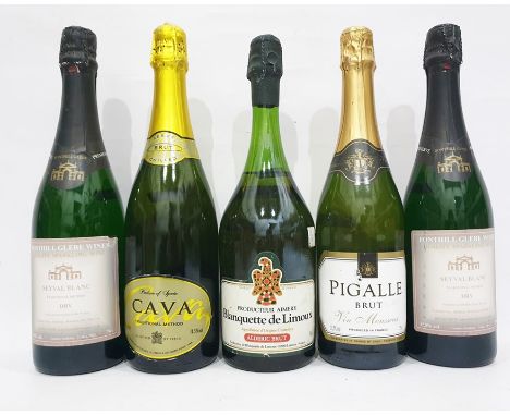 Five bottles of assorted sparkling wine to include two Fonthill Glebe wines - Sauvignon Blanc, one Cava and two others