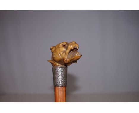 Bull dog head walking stick with silver collar 