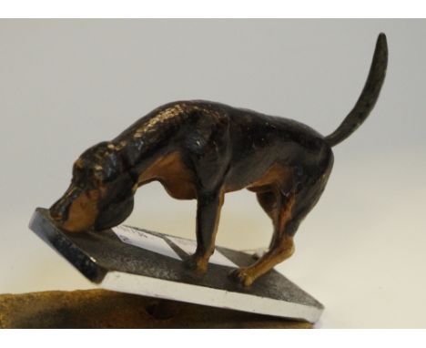 Hunting interest - a cold painted metal car mascot in the form of a sniffing fox hound 