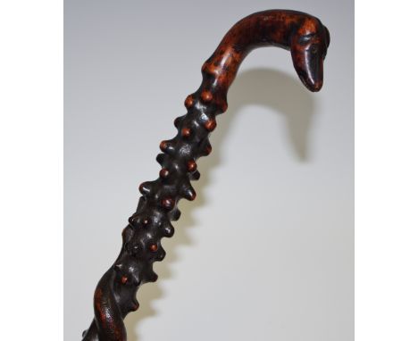 An Anglo Indian walking stick, the handle with dog's head terminal,knobbled shaft, entwined with serpent, 88cm high, 19th cen