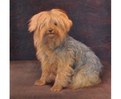 Frances Mable Hollams (1877-1963) British. Study of a Yorkshire Terrier, Oil on Panel, Signed '...ams' and Dated '51, 14" x 1
