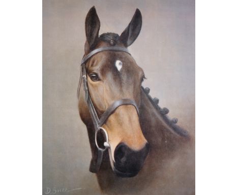 Des Snee (20th Century) Irish. "Dawn Run", Head of a Horse, Lithograph, Signed and numbered 405/850 in Pencil, 18" x 14".
