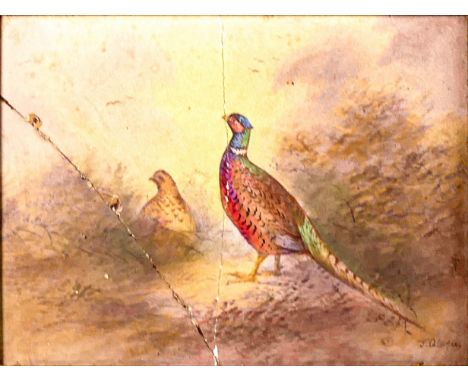 'J. Coleman', Crown Devon Fielding, hand painted framed Edwardian tile depicting pheasant cock and hen. (a/f two reglued full