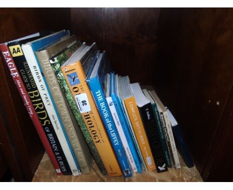 A Shelf of Bird Interest Books.