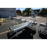 Unitrak Corp / Festo Cybernetic Coffee Case Packer Type 18-104, SN 934959, with 18” W Conveyor &