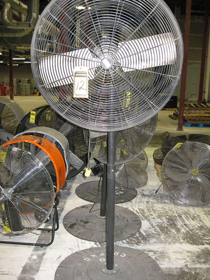 30'' DAYTON PEDESTAL FAN